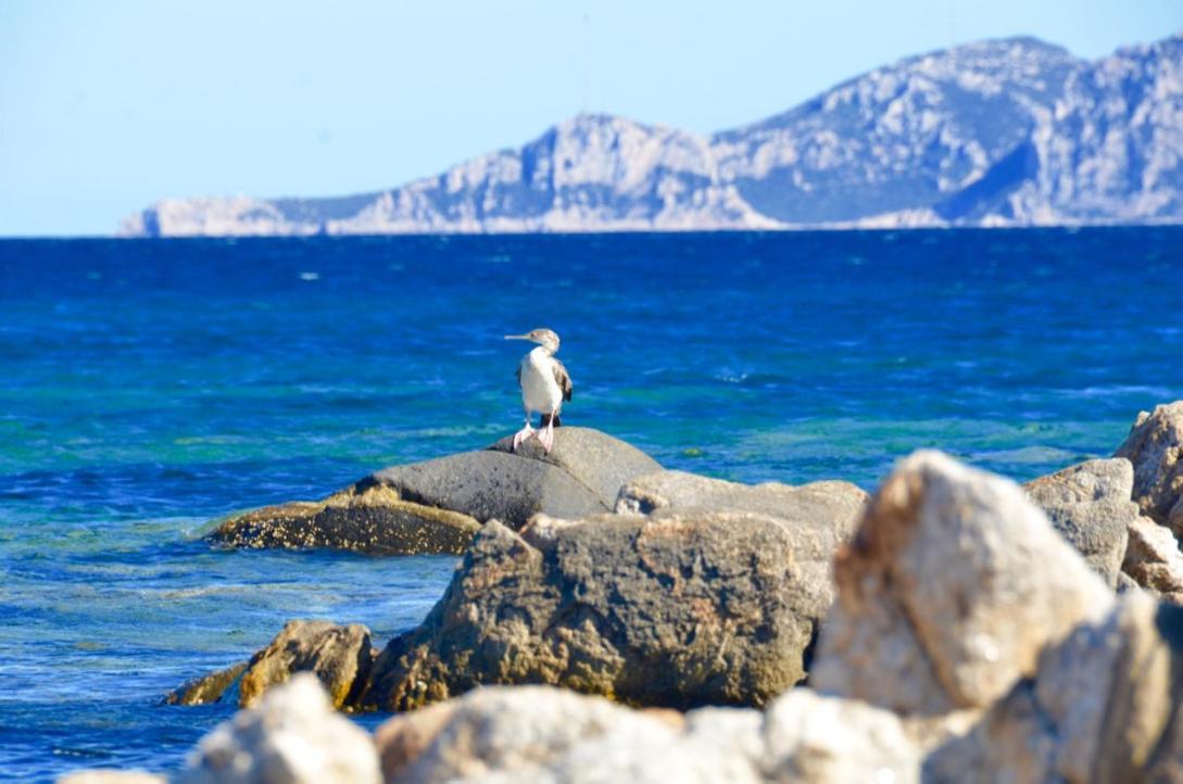 Casavacanza Golfo Aranci Exteriér fotografie
